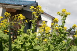 IMG_8640.JPG