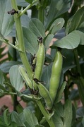 s-IMG_9297.jpg