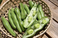 s-IMG_9376.jpg