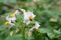 s-IMG_9555.jpg