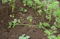 s-IMG_9663.jpg
