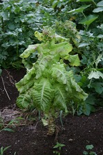 s-IMG_0025.jpgのサムネール画像