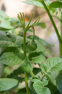 s-IMG_9757.jpg