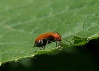 s-IMG_9878_edited-1.jpg