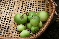 s-IMG_1993.jpg