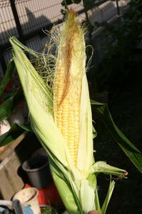 s-IMG_2734.jpg