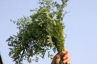 s-IMG_5509.jpg