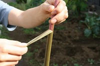 s-IMG_5510.jpg
