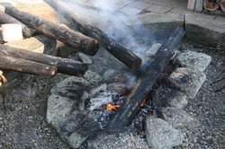 IMG_8611.JPG