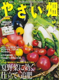 やさい畑14.初夏.jpg