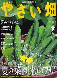 やさい畑14夏.jpg