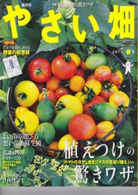 やさい畑15春.jpg