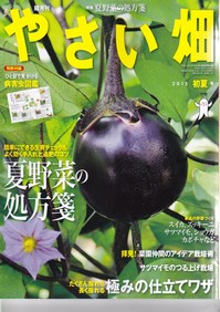 やさい畑15.初夏.jpg