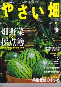 やさい畑15年夏.jpg