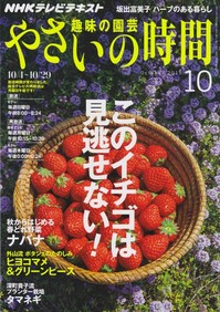 やさいの時間15.10.jpg