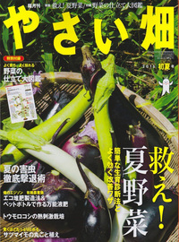 やさい畑16夏号.jpg