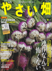 やさい畑16冬.jpg
