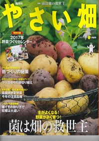 やさい畑17春準備.jpg