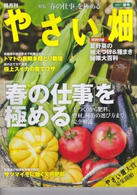 やさい畑17年春.jpg