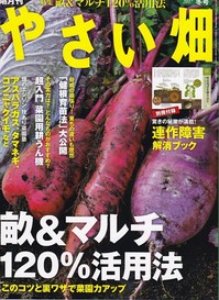 やさい畑17年冬.jpg