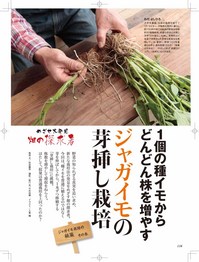 やさい畑18春.jpg