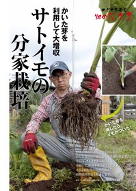やさい畑18年初夏号.jpg