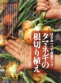 やさい畑18年冬.jpg