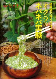 やさい畑19年初夏号.jpg