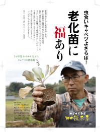 やさい畑19年夏.jpg