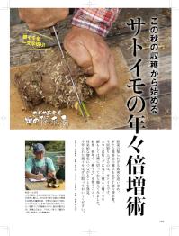 やさい畑2019秋.jpg