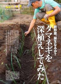 やさい畑_2019冬.jpg
