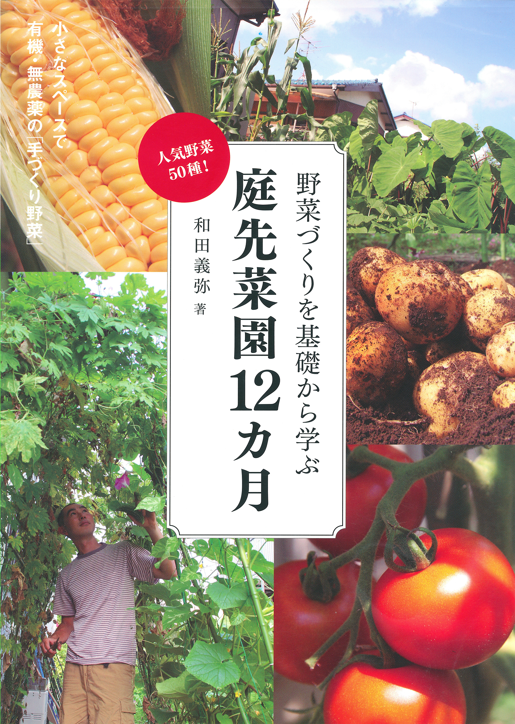 「野菜づくりを基礎から学ぶ 庭先菜園12ヵ月」実業之日本社 2011年