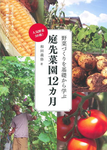 「野菜づくりを基礎から学ぶ 庭先菜園12ヵ月」実業之日本社 2011年